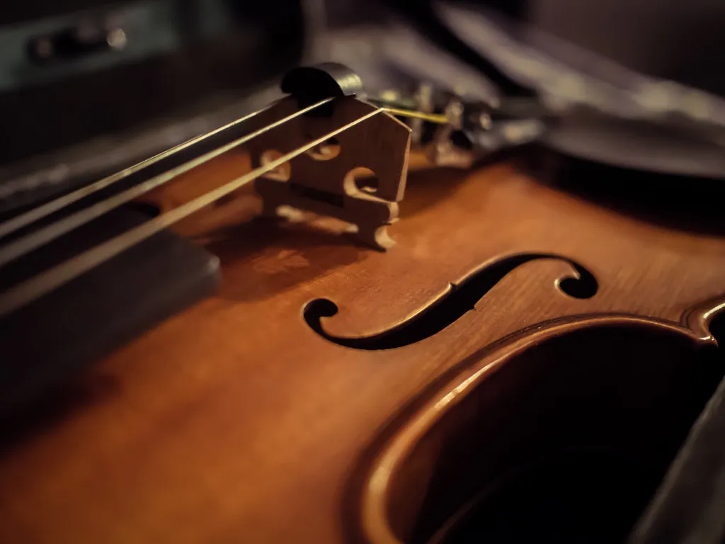 En escena, violín en primer plano (foto de muestra)