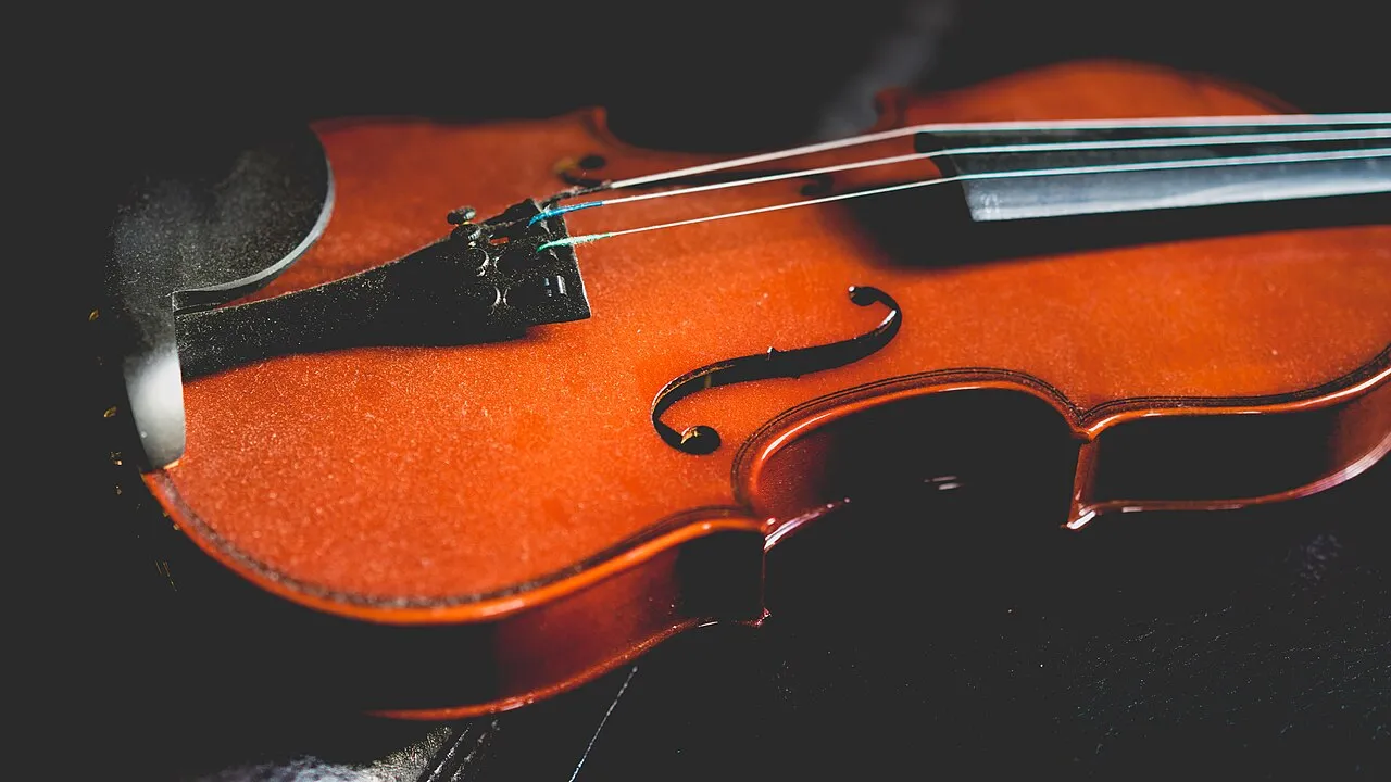 Detalle del violín y el arco (foto de muestra)